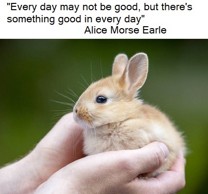 Message of the week