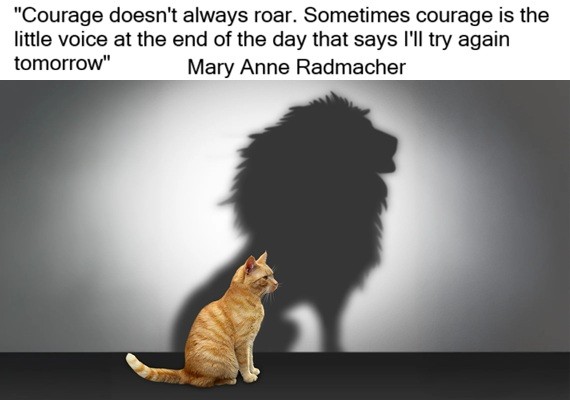 Message of the week